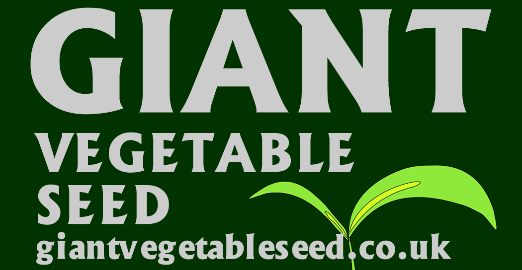 Giant Vegetable Seed